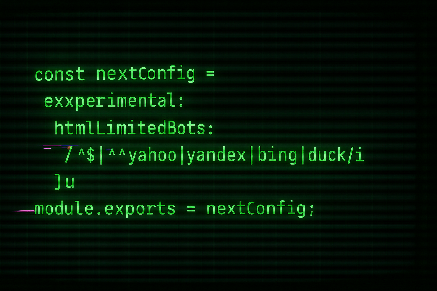 Technical implementation showing Next.js configuration code